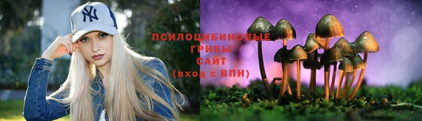 сатива Магас