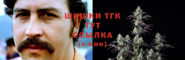 индика Майский