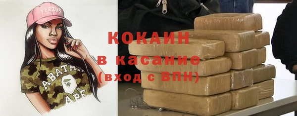 сатива Магас