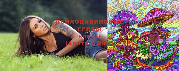сатива Магас
