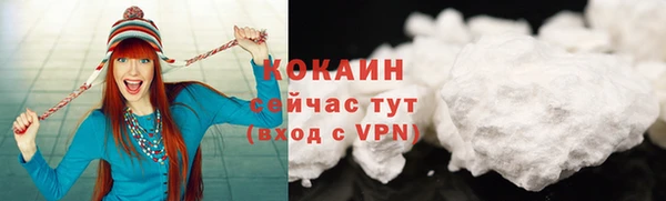индика Майский