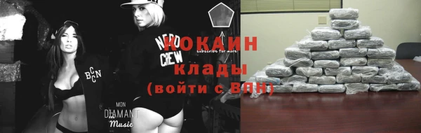 сатива Магас