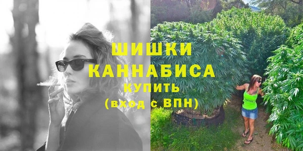 сатива Магас