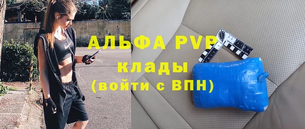индика Майский
