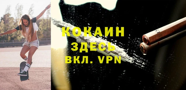 сатива Магас