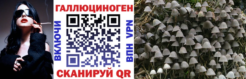 Галлюциногенные грибы прущие грибы магазин продажи Учалы