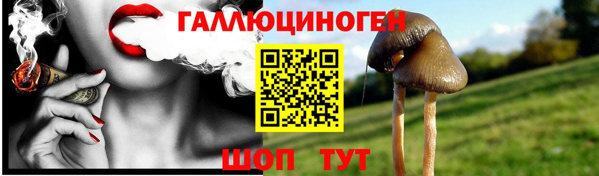 Галлюциногенные грибы ЛСД Учалы