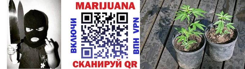 Шишки марихуана Bruce Banner  где можно купить наркотик  Учалы 